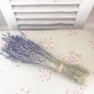 Beautiful dried lavender bunch